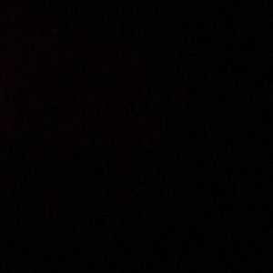 Meet your Posher, Maddy